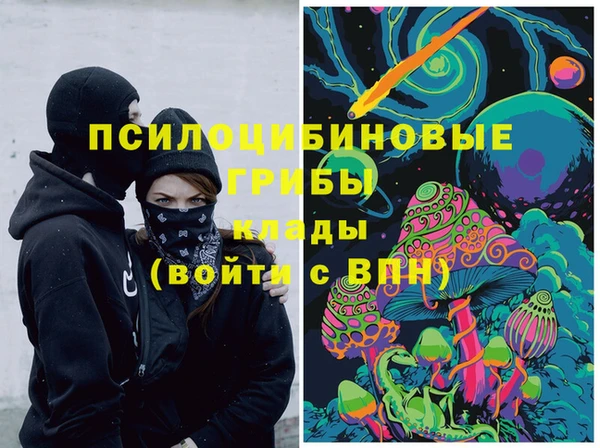 ешки Арсеньев