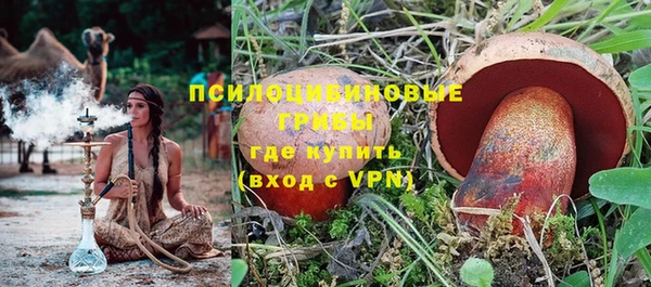 ешки Арсеньев