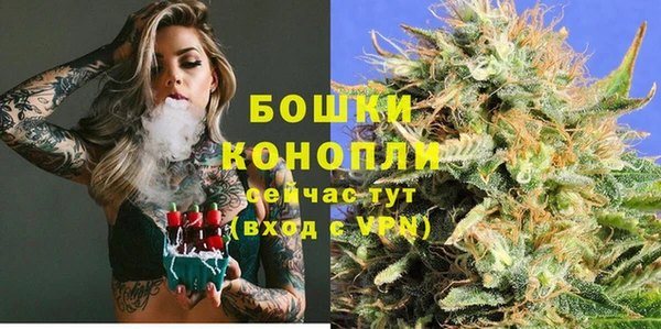 сатива Армянск