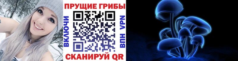 Псилоцибиновые грибы мицелий  Сольвычегодск 